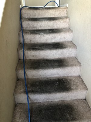 Deep carpet cleaning - This is the type of services we guarantee. Deep carpet cleaning - This is the type of services we guarantee.