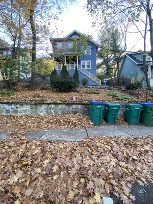 Landscaping services: fall cleanups in Medford Ma - We provide landscaping services: spring and Fall cleanups, lawn maintenance, trimming, pruning, sod and seed installation in Medford Ma call now for free estimate