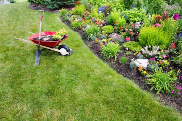 landscaping - landscaping trimming edging!! landscaping - landscaping trimming edging!!