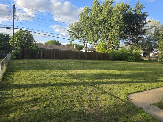 Before and after pictures - Before and after photos of back yard with tall weeds Before and after pictures - Before and after photos of back yard with tall weeds