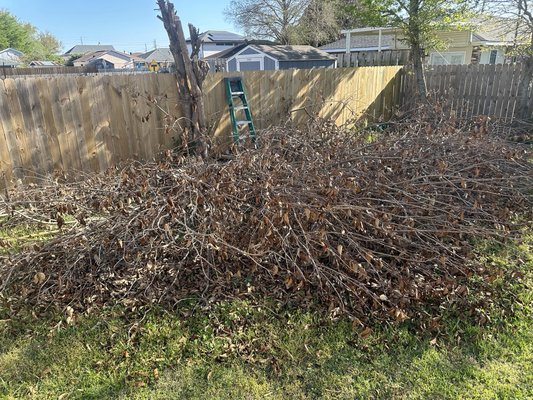 Yard Cleanup - Customer call us to remove branches from an old tree from their yard. Job was completed in around 30 minutes. Yard Cleanup - Customer call us to remove branches from an old tree from their yard. Job was completed in around 30 minutes.