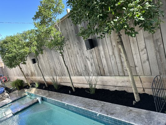 Tree Services - Don’t Wait for Your Damaged Tree to Fall
Trees are beautiful additions to any yard. Until they fall on your home and cause serious damage or injury. If your tree is becoming a problem, turn to NS Landscaping & Renovations.
We provide hazardous tree removal services for trees that are damaged, leaning, dead or growing over your property. We’ll work carefully to get rid of your tree without damaging your home. And we can provide stump grinding services after to get your yard back to normal.
Contact us today to learn more about the tree removal and stump grinding services we provide in The Woodlands and the Houston, TX area.
Your tree doesn’t have to be a danger for you to want it gone. If you’re just thinking about changing your landscaping and want to remove your tree for aesthetic reasons, we can help. We’re happy to remove trees that are blocking your view, growing too big or just not welcome anymore. And we can plant new trees for you if you want.
Set up aesthetic or hazardous tree removal services by calling 832-468-2462. Tree Services - Don’t Wait for Your Damaged Tree to Fall
Trees are beautiful additions to any yard. Until they fall on your home and cause serious damage or injury. If your tree is becoming a problem, turn to NS Landscaping & Renovations.
We provide hazardous tree removal services for trees that are damaged, leaning, dead or growing over your property. We’ll work carefully to get rid of your tree without damaging your home. And we can provide stump grinding services after to get your yard back to normal.
Contact us today to learn more about the tree removal and stump grinding services we provide in The Woodlands and the Houston, TX area.
Your tree doesn’t have to be a danger for you to want it gone. If you’re just thinking about changing your landscaping and want to remove your tree for aesthetic reasons, we can help. We’re happy to remove trees that are blocking your view, growing too big or just not welcome anymore. And we can plant new trees for you if you want.
Set up aesthetic or hazardous tree removal services by calling 832-468-2462.