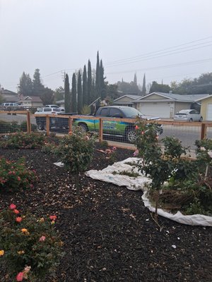 Cleanup - Yard Cleanup, fall cleanup Cleanup - Yard Cleanup, fall cleanup