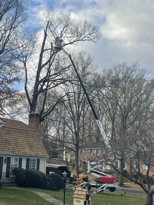 SPIDER LIFT - USED FOR DANGEROUS TREE, WHERE THE CRANE CAN'T BE USED.
USED FOR TREE TRIMMING AND PRUNING, WHERE SPACE IS TOO TIGHT TO WORK AT.
IT HAS SPECIAL WHEELS THAT WON'T DAMAGE YOUR LAWN. SPIDER LIFT - USED FOR DANGEROUS TREE, WHERE THE CRANE CAN'T BE USED.
USED FOR TREE TRIMMING AND PRUNING, WHERE SPACE IS TOO TIGHT TO WORK AT.
IT HAS SPECIAL WHEELS THAT WON'T DAMAGE YOUR LAWN.