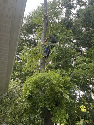 Affordable & Clean 2025 - This is my second time working for this client,  we’ve built a good trust. I always make sure people see how carefully and slowly I take things down. I’m super careful with the gutters, windows, and AC units, so there’s nothing to worry about.