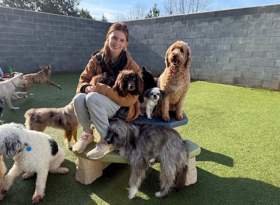 Daycare - Daycare is based off size and temperament. We have indoor and outdoor play areas for the dogs to socialize and get their energy out! Our staff diligently monitors and interacts to provide a clean, safe environment for all to call a home-away-from-home! Daycare - Daycare is based off size and temperament. We have indoor and outdoor play areas for the dogs to socialize and get their energy out! Our staff diligently monitors and interacts to provide a clean, safe environment for all to call a home-away-from-home!