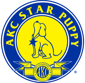 AKC S.T.A.R. Puppy Program - Give your puppy the perfect start with our AKC S.T.A.R. Puppy Program! This engaging 6-week course meets once a week for one hour and focuses on socialization, basic training, fun activities, and responsible pet ownership. It’s a great way to help your puppy build confidence, learn essential skills, and begin a lifetime of strong bonds and good behavior. Join us and set your puppy up for success!
