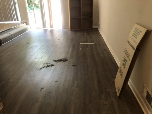 MOVE IN/MOVE OUT - Moving is stressful enough as it is. The last thing you need to worry about is the condition of the space you are leaving or moving into. Count on us to take inbound and outbound cleaning off your to-do list.
Our comprehensive moving cleaning services can include the following:
Cleaning the inside of drawers and cabinets, if requested
Cleaning and sanitizing countertops, sinks, bathtubs, showers and more
Cleaning microwaves, ovens, stoves and other appliances
Vacuum all floors and clean all wood, vinyl, tile and other floors
Spot cleaning of doors and door frames
Dust all surfaces, including window frames, light fixtures and ceiling fans
Our residential cleaning services are ideal for homeowners, landlords and tenants. MOVE IN/MOVE OUT - Moving is stressful enough as it is. The last thing you need to worry about is the condition of the space you are leaving or moving into. Count on us to take inbound and outbound cleaning off your to-do list.
Our comprehensive moving cleaning services can include the following:
Cleaning the inside of drawers and cabinets, if requested
Cleaning and sanitizing countertops, sinks, bathtubs, showers and more
Cleaning microwaves, ovens, stoves and other appliances
Vacuum all floors and clean all wood, vinyl, tile and other floors
Spot cleaning of doors and door frames
Dust all surfaces, including window frames, light fixtures and ceiling fans
Our residential cleaning services are ideal for homeowners, landlords and tenants.