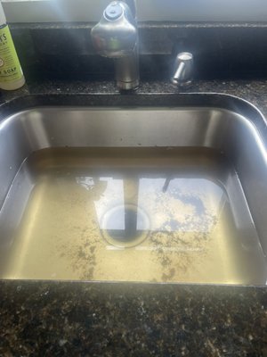 Kitchen clogged/unclogged - Home owner called and stated that the water has not drained in days, we were able to snake it out 30 feet and pulled out some debris in the process. Kitchen clogged/unclogged - Home owner called and stated that the water has not drained in days, we were able to snake it out 30 feet and pulled out some debris in the process.