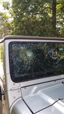 Windshield Replacement in Montgomery TX - A large unknown object from on coming traffic caused this damage.