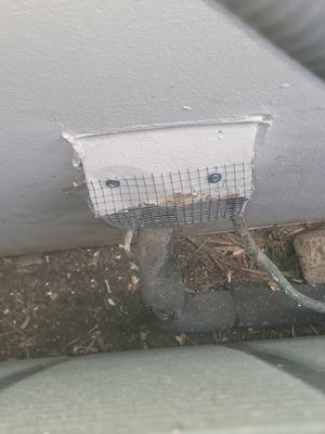 Rodent proofing and Elimination - Full service rodent elimination from proofing to removal and trapping to clean up Rodent proofing and Elimination - Full service rodent elimination from proofing to removal and trapping to clean up