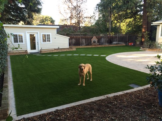 Artificial Grass for Dogs - Artificial Grass for Dogs Artificial Grass for Dogs - Artificial Grass for Dogs