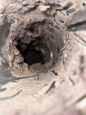 Air duct cleaning in local area. Closer to new year holidays many busy people looking to service their house. - One of our happy and busy customers had a clogged dryer vent, we’re professionals explained how important it is to service dryer vent. Thank you for choosing us. Air duct cleaning in local area. Closer to new year holidays many busy people looking to service their house. - One of our happy and busy customers had a clogged dryer vent, we’re professionals explained how important it is to service dryer vent. Thank you for choosing us.