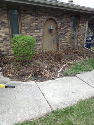 weed removal - removed all weeds