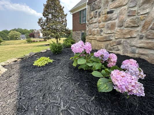 Landscaping Services - Landscaping refers to the process of designing, arranging and modifying an outdoor space to enhance aesthetic, functional and ecological value. It involves planting, maintenance, trimming/pruning and a variety of other outdoor things.