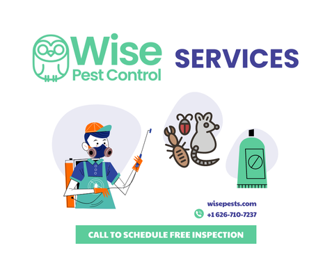 Wise Pest Control Services - At Wise Pest Control, we provide top-notch pest control solutions that cater to your unique needs. Our team of experts is equipped with the latest techniques and eco-friendly products to ensure effective pest eradication. Experience the joy of pest-free home with our trusted services. Contact us today! Wise Pest Control Services - At Wise Pest Control, we provide top-notch pest control solutions that cater to your unique needs. Our team of experts is equipped with the latest techniques and eco-friendly products to ensure effective pest eradication. Experience the joy of pest-free home with our trusted services. Contact us today!