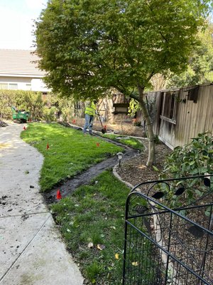 Lawn removal and new sod installation - Lawn had all types of weeds, and different types of grass in one. It was time to upgrade to a nice fresh looking lawn. Lawn removal and new sod installation - Lawn had all types of weeds, and different types of grass in one. It was time to upgrade to a nice fresh looking lawn.