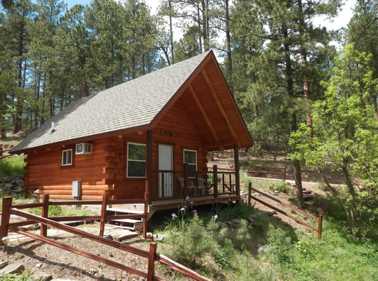 CABIN #4 Timber Ridge - Non-Smoking

This cabins has 2 queen beds (one in the bedroom and one in the loft; which has custom log railing),a small hide-a-bed sofa in the living space and 1 full bathroom.

It has a kitchenette with microwave, toaster, coffee pot, under the counter size fridge/freezer, electric skillet, dishes, silverware and cooking utensils.

There is a 6 ft. covered front porch with picnic table and charcoal grill beside it. The cabin has electric heat, AC and Satellite TV.