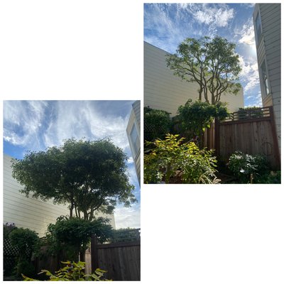 General Pruning - Over growing trees General Pruning - Over growing trees