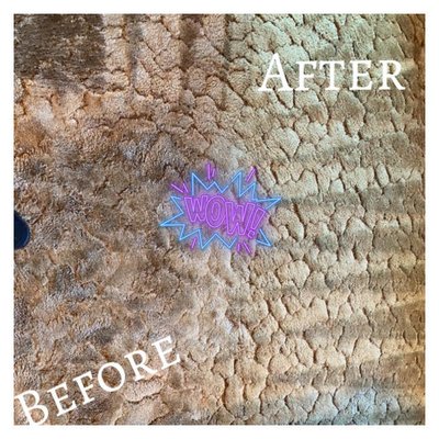 Carpet Cleaning - Carpet Cleaning Service includes:
*Spot Treatment
*Pre Conditioning
*Soil Extraction
*Fiber Neutralize Rinse
*Deodorizer
*Complimentary Stain Protectant Carpet Cleaning - Carpet Cleaning Service includes:
*Spot Treatment
*Pre Conditioning
*Soil Extraction
*Fiber Neutralize Rinse
*Deodorizer
*Complimentary Stain Protectant