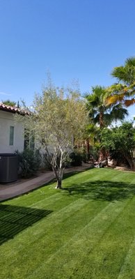 Mowing - Turf maintenance