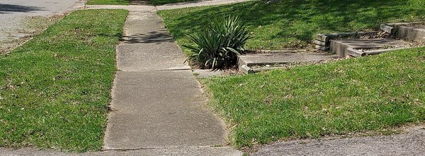Lawncare 2023 - Mowing and trimming