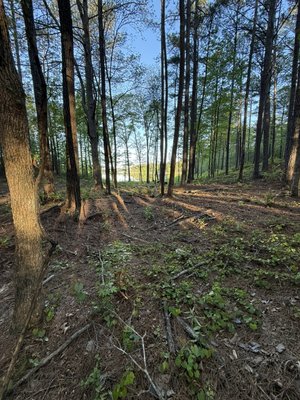 Forestry mulching for better views! - This is a job I completed down by the lake. My client is remodeling a cabin and the rest of his property cleaned up. There was a bunch of fallen debris and some light underbrush. The goal was to this client not only just better views of the lake, but to make it easier to walk, or ride a truck down to the lake. This job is a perfect example of only some of what forestry mulching is great for! 
Make sure to give me a call for a free quote!