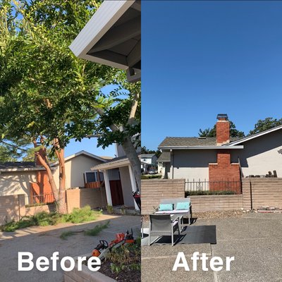 Tree removals and prunings - These are a few of our projects that we had done of trees being removed and trees being pruned and thinned out