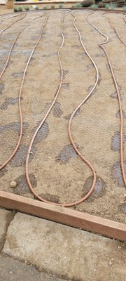 Drip irrigation - Drip irrigation system being installed for fescue grass and plants. Drip irrigation is a good way to save water and get your plants and grass quality to improve.