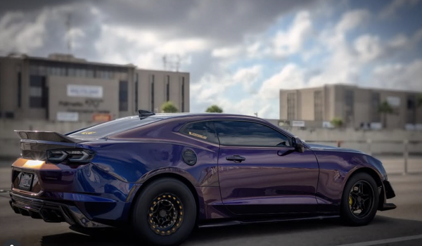 Custom Paint - Custom Paint