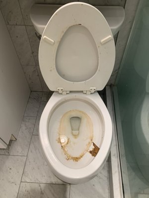 Move out Bathrooms - Bathrooms before and after Move out Bathrooms - Bathrooms before and after