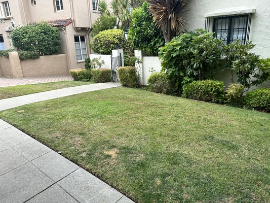 Lawn maintenance - We do lawn maintenance Lawn maintenance - We do lawn maintenance