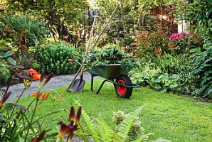 Transform your outdoor oasis today! - Getting lawn care done right now is the smart choice for any homeowner looking to enjoy a lush, healthy, and vibrant yard. As we approach the peak growing season, investing in professional lawn care will not only enhance the curb appeal of your home but also promote the long-term health of your lawn. With the right care, you can expect thicker, greener grass that's more resistant to weeds and pests. Additionally, a well-maintained lawn provides a welcoming space for outdoor activities, family gatherings, and relaxation. Don't miss the opportunity to create a beautiful, stress-free outdoor environment for yourself and your loved ones. Act today, and let your lawn thrive! Transform your outdoor oasis today! - Getting lawn care done right now is the smart choice for any homeowner looking to enjoy a lush, healthy, and vibrant yard. As we approach the peak growing season, investing in professional lawn care will not only enhance the curb appeal of your home but also promote the long-term health of your lawn. With the right care, you can expect thicker, greener grass that's more resistant to weeds and pests. Additionally, a well-maintained lawn provides a welcoming space for outdoor activities, family gatherings, and relaxation. Don't miss the opportunity to create a beautiful, stress-free outdoor environment for yourself and your loved ones. Act today, and let your lawn thrive!