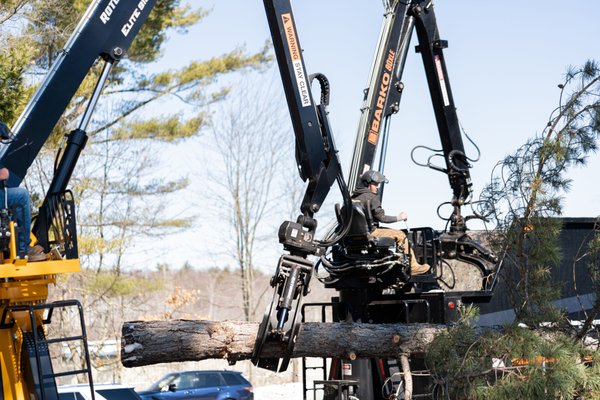 Commercial Crane Removal - Our team strategically removing multiple hazardous trees encroaching on a commercial property in Seabrook, NH.