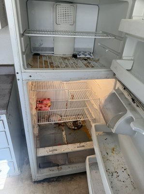 Before and after a Deep cleaning, refrigerator and bathroom/shower - Our deep cleaning service for restrooms includes thorough disinfection of all surfaces, ensuring a sanitary environment free from germs and bacteria. From scrubbing tiles to sanitizing fixtures, we leave no corner untouched, leaving your restroom spotless and fresh. Similarly, our refrigerator deep cleaning involves removing all shelves and drawers for a comprehensive clean, eliminating odors and preventing cross-contamination for a healthier kitchen environment. Before and after a Deep cleaning, refrigerator and bathroom/shower - Our deep cleaning service for restrooms includes thorough disinfection of all surfaces, ensuring a sanitary environment free from germs and bacteria. From scrubbing tiles to sanitizing fixtures, we leave no corner untouched, leaving your restroom spotless and fresh. Similarly, our refrigerator deep cleaning involves removing all shelves and drawers for a comprehensive clean, eliminating odors and preventing cross-contamination for a healthier kitchen environment.