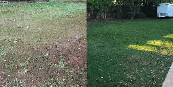 Complete Lawn Transformation - Your lawn deserves to look its best all year long. The Lawn Company specializes in premium lawn care services throughout Guthrie and beyond. From mowing, fertilization, and aeration to seasonal clean-ups and dethatching, our skilled team brings out the beauty in every yard. We tailor our services to your property’s unique needs—so you see visible results and lasting health.

Call now to learn about our trusted Soil Health Programs-Tested and tailored to your lawn for deeper root growth and longer life.