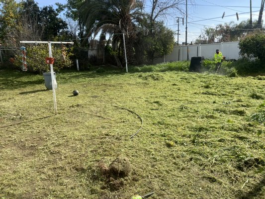 Got overgrown weeds this season? Let us do the hard work and make you home beautiful once again￼ - I was contacted by a management company that had two empty lots that had some very overgrown weeds from all the rain this season we stopped by and gave him a price and the customer agreed and we came back the next morning to start the job and we finished that same day around 3 PM