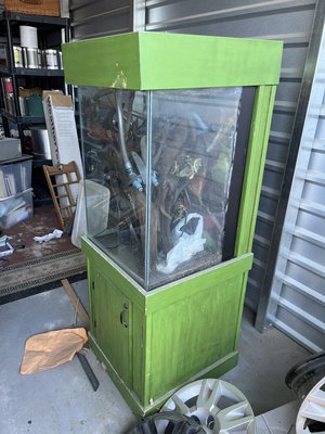 50 gallon tall tank refurbish and set up - This client wanted us to refurbish their used tank and stand. It’s a 50 gallon tall tank which we were excited to work on as you don’t normally see this kind of tank. They had a piece of wood they really wanted in the tank so our design was based off of that piece. 50 gallon tall tank refurbish and set up - This client wanted us to refurbish their used tank and stand. It’s a 50 gallon tall tank which we were excited to work on as you don’t normally see this kind of tank. They had a piece of wood they really wanted in the tank so our design was based off of that piece.