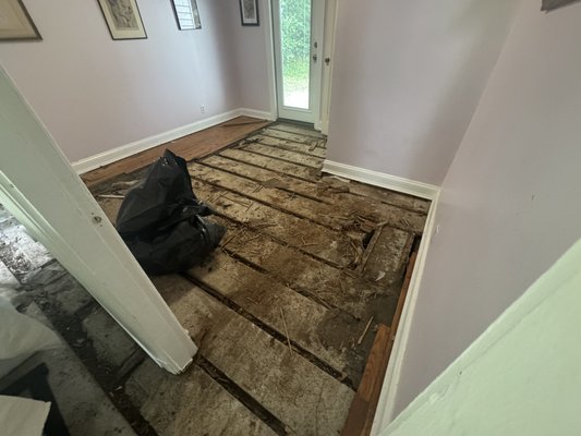 Webster Groves Home Remodel - Our client Sarah A. went through a nightmare before she found FixPro (formerly Clean-N-Green Build:
❌ A flooring company ripped out all her beautiful oak hardwood floors, left her with bare concrete for SIX weeks, and never called or updated her.
❌ A plumbing company replaced her toilet but told her it was “impossible” to level the floor. To make things worse, they installed an elongated toilet that hung over the edge of the elevated flooring and couldn’t even be sealed properly.
After all that frustration, Sarah called us — and here’s what she had to say:
⭐️⭐️⭐️⭐️⭐️
“I am so happy with my new flooring, bathroom remodel and French drain! Dwight laid out the plan in easy to follow phases and communicated throughout the process! Jay was awesome too!!!” – Sarah A.
✅ We gave her a solid plan broken into clear phases.
✅ We communicated throughout the entire process.
✅ We delivered brand-new flooring, a properly remodeled bathroom, and fixed every problem the other contractors left behind.
✅ All completed on time and at an extraordinary price.
👉 Don’t settle for less. Call (636) 336-6312 or visit FixProSTL.com to work with the team homeowners trust when others fall short. Webster Groves Home Remodel - Our client Sarah A. went through a nightmare before she found FixPro (formerly Clean-N-Green Build:
❌ A flooring company ripped out all her beautiful oak hardwood floors, left her with bare concrete for SIX weeks, and never called or updated her.
❌ A plumbing company replaced her toilet but told her it was “impossible” to level the floor. To make things worse, they installed an elongated toilet that hung over the edge of the elevated flooring and couldn’t even be sealed properly.
After all that frustration, Sarah called us — and here’s what she had to say:
⭐️⭐️⭐️⭐️⭐️
“I am so happy with my new flooring, bathroom remodel and French drain! Dwight laid out the plan in easy to follow phases and communicated throughout the process! Jay was awesome too!!!” – Sarah A.
✅ We gave her a solid plan broken into clear phases.
✅ We communicated throughout the entire process.
✅ We delivered brand-new flooring, a properly remodeled bathroom, and fixed every problem the other contractors left behind.
✅ All completed on time and at an extraordinary price.
👉 Don’t settle for less. Call (636) 336-6312 or visit FixProSTL.com to work with the team homeowners trust when others fall short.