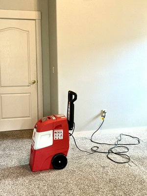 Carpet clean! - Help this customer out with a free carpet clean with their deep clean!