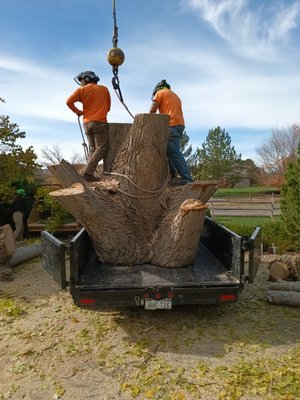 2022 Projects - Photos from projects done in 2022. Tree Service, Tree trimming, Stump grinding etc. 2022 Projects - Photos from projects done in 2022. Tree Service, Tree trimming, Stump grinding etc.