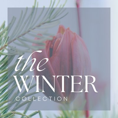 The Winter Collection - Celebrate Winter with a festive floral collection available for pre book and delivery after 23rd November. The Winter Collection - Celebrate Winter with a festive floral collection available for pre book and delivery after 23rd November.