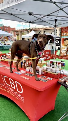Celestial Stem CBD for Dogs and Cats - Our shop is pet friendly and we adore our furry visitors. Check out what sets us apart - we provide pet products with dosages tailored not only for small dogs but also medium to large-size dogs as well. If you are a pet parent of a larger dog, you know how difficult it can be to find a product with a dose high enough to be therapeutic. 

We offer cost-effective options with much higher milligrams than most companies. Our regulars consistently enjoy positive results with some dogs weighing over 200lbs, including Great Danes and Saint Bernards. Don't worry, we have plenty of options for the little guys too!

We have many options to choose from like CBD dog treats, CBD cat treats, CBD oils for pets and a CBD infused organic almond butter. We also have Non-CBD pet supplements too!

Stop by the shop for an expert consultation to find the perfect dosage. Bring the pups and enjoy some sample treats!