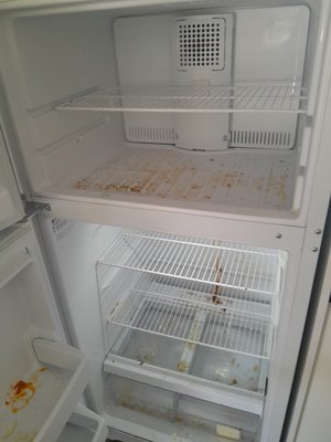 Kitchen deep clean - This fridge was given to us to deep clean Kitchen deep clean - This fridge was given to us to deep clean