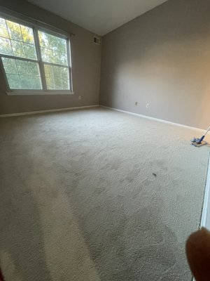 Carpet cleaning - Excelent carpet cleaning Carpet cleaning - Excelent carpet cleaning