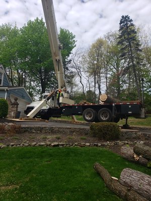 Crane Service fully insured and licensed - We use our crane in order to provide a safe and faster service! Fully insured! Call for a free estimate!