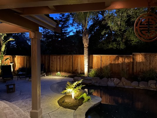 Got Lighting? - This is the project that we worked on for fencing, concrete, tropical planting and lighting in