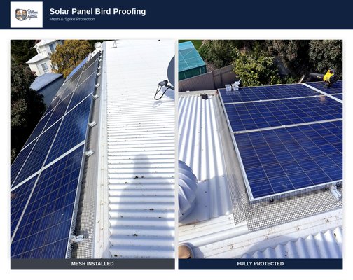 Solar Panel Bird Proofing - Solar Panel Bird Proofing – Mesh & Spike Installation

Birds nesting under solar panels cause more damage than most homeowners realize — droppings, debris, and nesting material can block airflow, cause overheating, and even chew through wiring. We install professional-grade mesh barriers and spike deterrents around the perimeter of your panels to seal off access completely, without affecting panel performance or voiding your solar warranty.

✅ Galvanized steel mesh, custom-fitted to your roofline
✅ Discreet spike strips for exposed edges and gutters
✅ Full perimeter coverage — no gaps for birds to squeeze through
✅ One-time installation, long-term protection

If you've got birds nesting under your panels (or want to stop it before it starts), give The Brothers That Just Do Gutters a call.