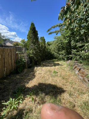 Backyard remodel - This was a backyard remodel to get it ready to hit the market!
A good landscape can add a 20% increase in revenue in home sales. Backyard remodel - This was a backyard remodel to get it ready to hit the market!
A good landscape can add a 20% increase in revenue in home sales.