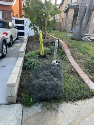 Rock project - Low tolerance plants and desert look low maintenance and water saving Rock project - Low tolerance plants and desert look low maintenance and water saving